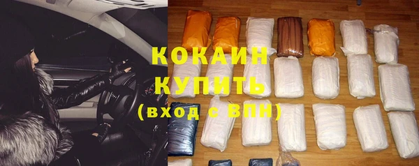стафф Козельск