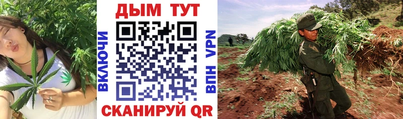Купить закладки  Вилюйск  Бошки Шишки Amnesia 
